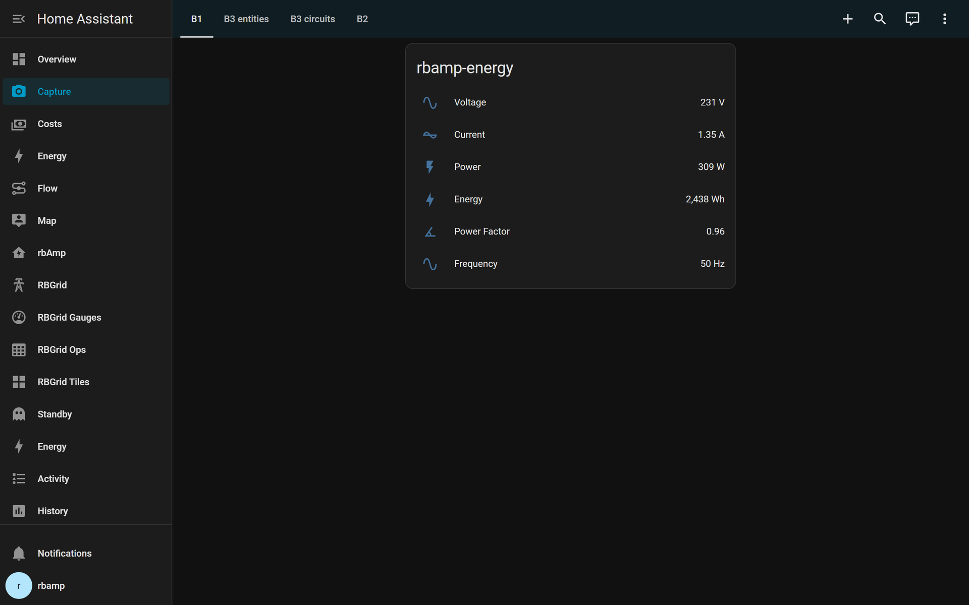 The rbAmp entities live in Home Assistant after adoption