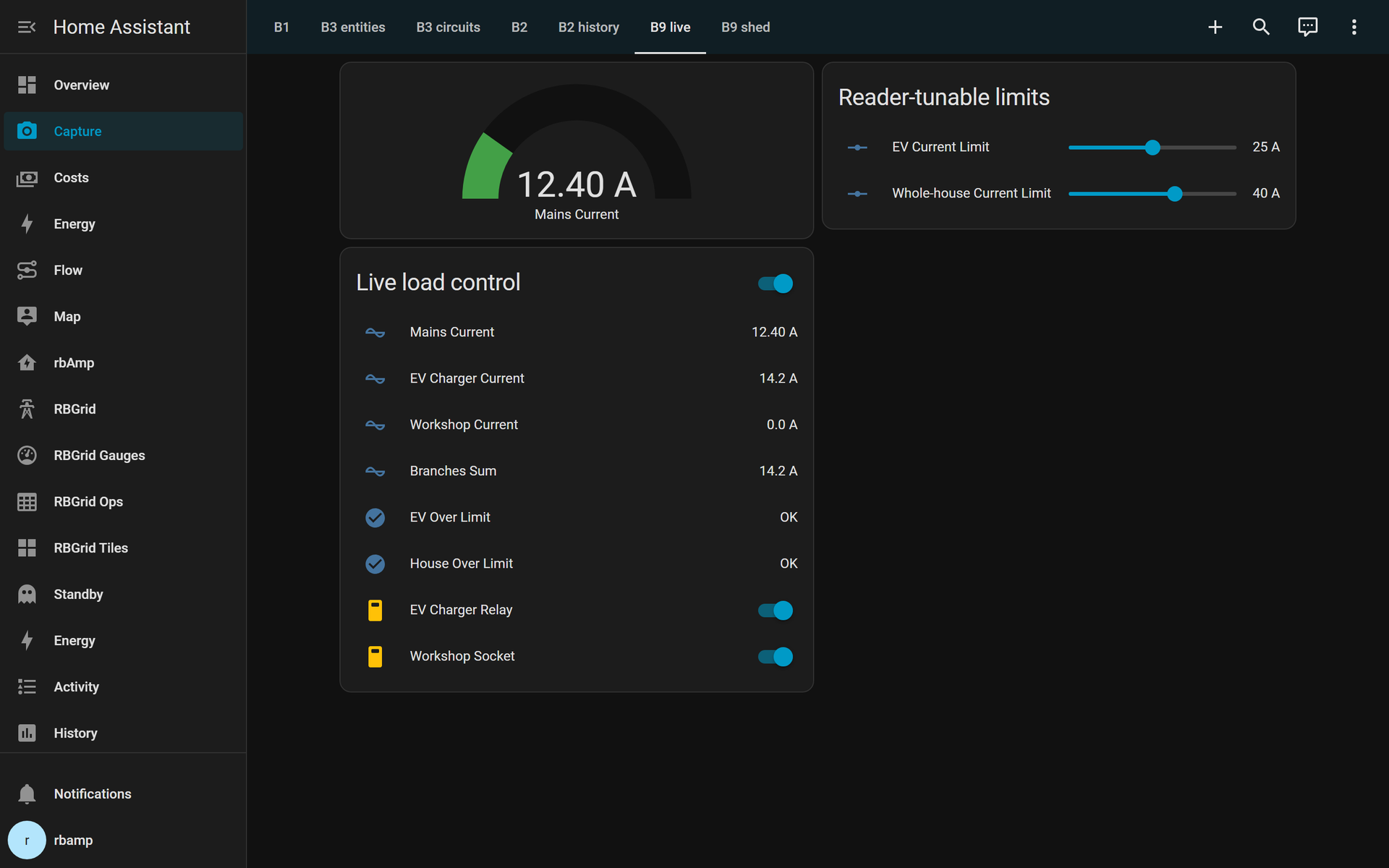 Live branch currents and the tunable limits in Home Assistant